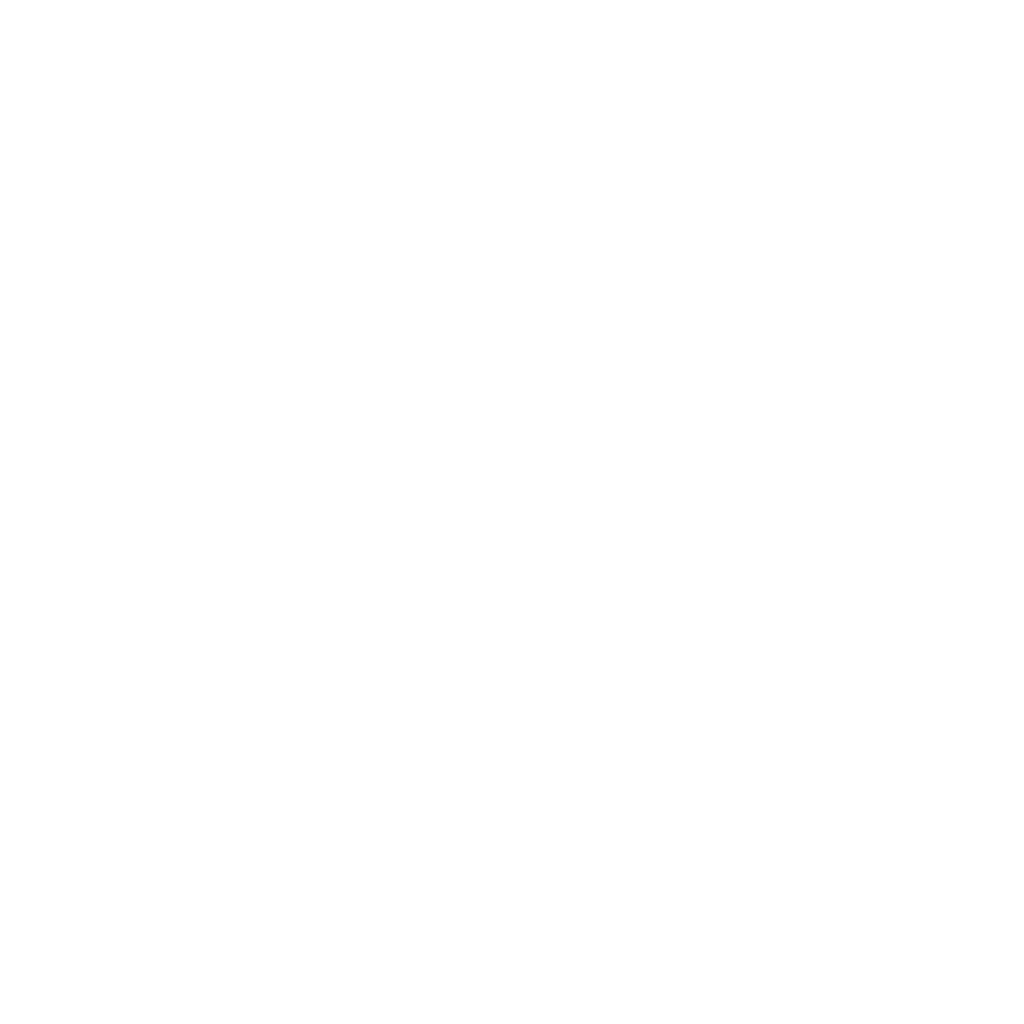 logo 2025 02